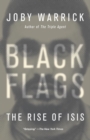 Image for BLACK FLAGS EXP