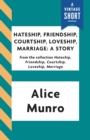 Image for Hateship, Friendship, Courtship, Loveship, Marriage: A Story