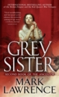 Image for Grey Sister : book 2