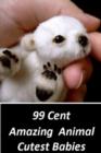 Image for 99 Cent Amazing Animal Cutest Babies 3