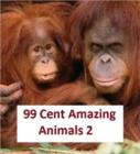 Image for 99 Cent Amazing Animals 2
