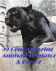 Image for 99 Cent Amazing Animals Predator &amp; Prey 2
