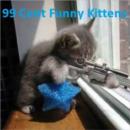 Image for 99 Cent Funny Kittens