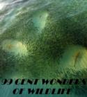 Image for 99 cent Wonders of Wildlife