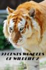 Image for 99 cent Wonders of Wildlife 2 Great for Kids and Adults Highly Recommended! animal,nature,wildlife,animals,ecology,conservation,lion,tiger,bear,mammal,elephant,leopard,cheetah,