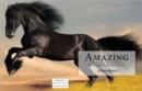 Image for Amazing Horses Run Free Photography &amp; Art
