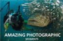 Image for Amazing Photographic Moments