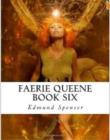 Image for Faerie Queene Book Six
