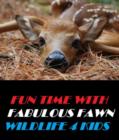 Image for Fun Time With Fabulous Fawn Wildlife 4 Kids