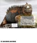 Image for Galapagos Islands Amazing Animals Photo book