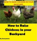 Image for How to Raise Chickens in your Backyard