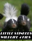 Image for Little Stinkers Wildlife 4 Kids