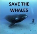 Image for Save the Whales Photography