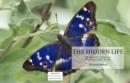 Image for Hidden Life (Butterfly Edition)