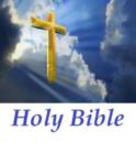 Image for Holy Bible King James Version