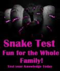 Image for Snake Test Fun for the Whole Family!