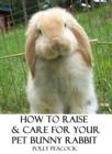 Image for Bunny Training for Dummies Handbook