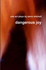 Image for Dangerous Joy
