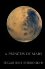 Image for A Princess of Mars