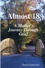 Image for Almost 18 &quot; A Mother&#39;s Journey Through Grief &quot;