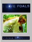 Image for I Love Foals