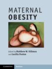 Image for Maternal Obesity