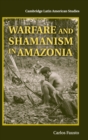 Image for Warfare and shamanism in Amazonia