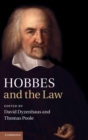 Image for Hobbes and the Law