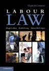 Image for Labour law  : text and materials