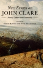 Image for New Essays on John Clare