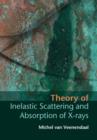 Image for Theory of inelastic scattering and absorption of x-rays