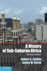 Image for A history of sub-Saharan Africa