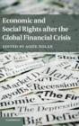 Image for Economic and Social Rights after the Global Financial Crisis