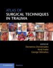 Image for Atlas of Surgical Techniques in Trauma