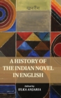 Image for A History of the Indian Novel in English