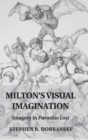 Image for Milton&#39;s visual imagination  : imagery in Paradise lost