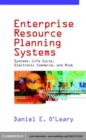 Image for Enterprise resource planning systems: systems, life cycle, electronic commerce, and risk