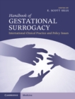 Image for Handbook of gestational surrogacy  : international clinical practice and policy issues
