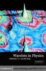 Image for Wavelets in physics