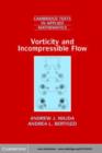 Image for Vorticity and incompressible flow