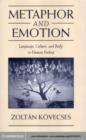 Image for Metaphor and emotion: language, culture, and the body in human feeling