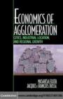 Image for Economics of agglomeration: cities, industrial location, and regional growth