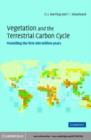 Image for Vegetation and the terrestrial carbon cycle: modelling the first 400 million years