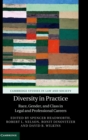 Image for Diversity in practice  : race, gender, and class in legal and professional careers