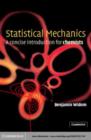 Image for Statistical mechanics: a concise introduction for chemists