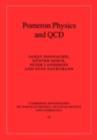 Image for Pomeron physics and QCD