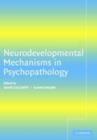 Image for Neurodevelopmental mechanisms in psychopathology