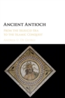 Image for Ancient Antioch  : from the Seleucid era to the Islamic conquest