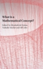 Image for What is a Mathematical Concept?