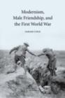 Image for Modernism, male friendship, and the First World War